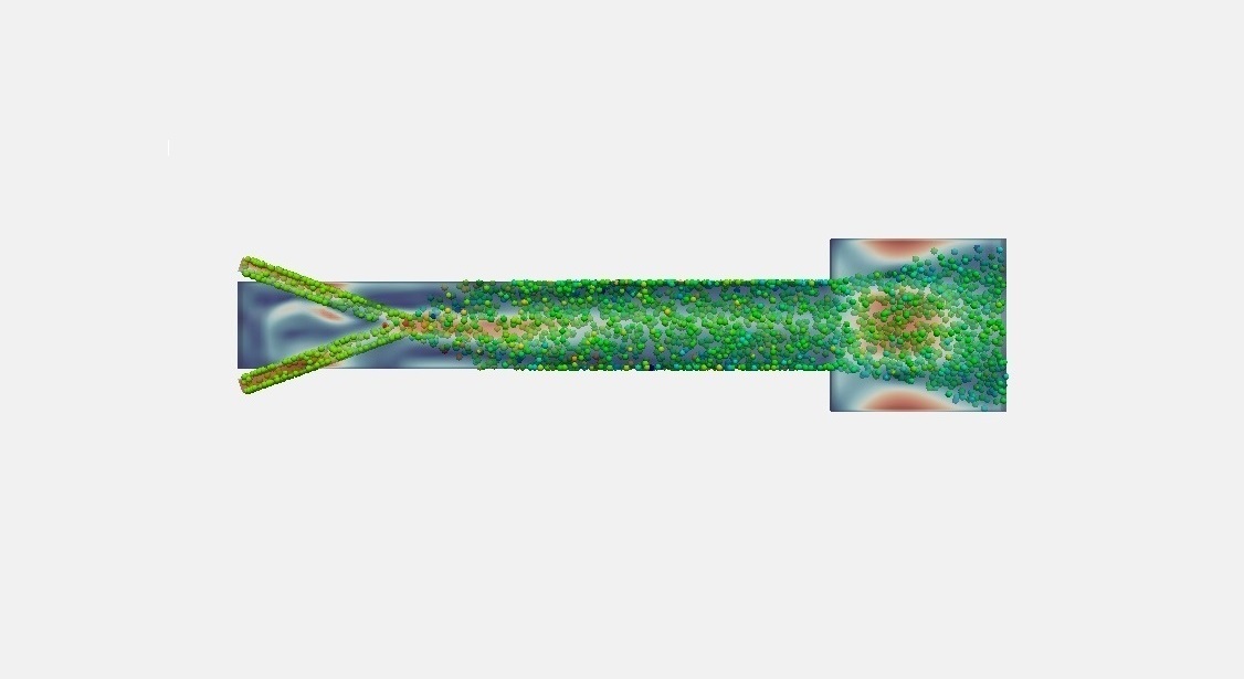 CFD Simulations of Multiphase Flows